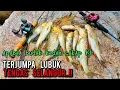Download Lagu teknik asas casting tengas yang aku dah belajar dari sifu @IrwanizamKasim786