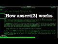 How to use assertions in programs