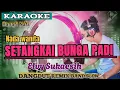 Download Lagu Karaoke setangkai bunga padi nada wanita Elvy Sukaesih dangdut remix slow ben