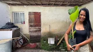 Terminei o quintal abandonado da minha mãe: veja o outro lado