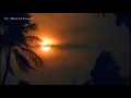 Planta e Raiz - Oh! Chuva