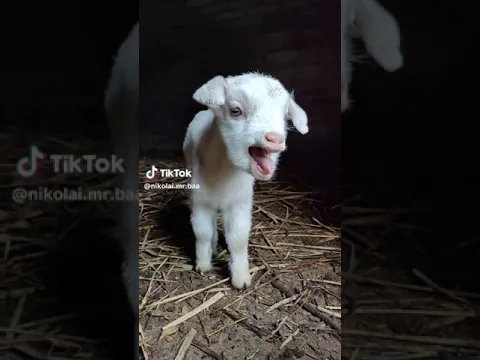 ٢ مارس ٢٠٢٤