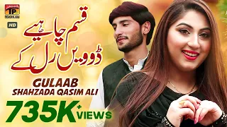 Download Qasam Chaye Doven Ral Ke (Official Video) | Gulaab \u0026 Shahzada Qasim Ali | Tp Gold MP3