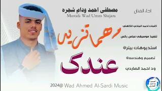 جديد الفنان مصطفى احمد ود ام شجره مهما تزيد عندك 2024 