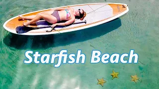 Back to Life on Anchor, Exploring Starfish Beach, Bocas Del Toro (Calico Skies Sailing, Ep 110)