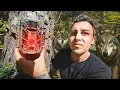 Download Lagu J'ai filmé des loups ! Et des animaux pendant 100 jours..