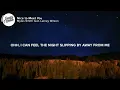 Myles Smith feat. Lainey Wilson - Nice to Meet You (Lyrics)