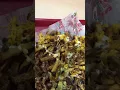 Castaneda s Mexican food