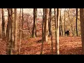 | I See the Light - From Disney’s Tangled -  Olivia Collingsworth & Joseph O’Brien |