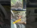 Download Lagu ini parah ni😆tenang tenang😆😆😆