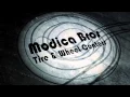 Get the CFNA Credit Card from Modica Bros and Save Today