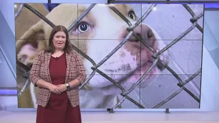 It s a sigh of relief Evansville Animal Care and Control prepares to reopen after closure due to