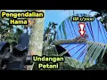 Download Lagu BASMI HAMA TUPAI_YANG MERUSAK POHON KELAPA PARA PETANI,DI UNDANG!!