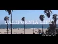 Long beach Blvd Hookers Bout Dat Action YungOdyssey