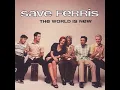 Save Ferris - The World Is New