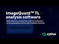 ImageQuant TL analysis software - Band comparison to protein with multiple channels