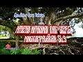 Download Lagu PATHETAN MATARAMAN_AYAK-²_SREPEG PANGKUR PALARAN SL.9[]Gendhing Jawa Palaran[] @wongsoekowatie