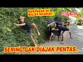 Lagu AKIBAT GAK PERNAH DIAJAK PENTAS !! Barongan ini malah berubah jadi galak