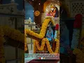 Lagu Leke chalo palkhi shirdi ke nath ki | sai baba new vedio |#newwhatsappstatus #saibaba #palkhi2022