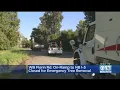 Emergency Tree Removal Closes On-Ramp To NB I-5 From Florin Road