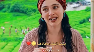 بنت البلد محلاها     محمد عساف و سانت ليفانت   جديد حالات واتس اب حب      دندنها