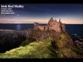 Download Lagu Irish Reel Medley (Tin Whistle)