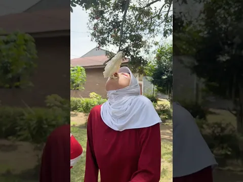 linba makan kerupok