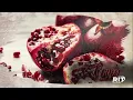Download Lagu SOS da Fé - 17/06/24