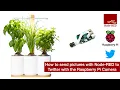 How to send pictures with Node RED to Twitter with the Raspberry Pi Camera