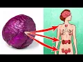 Amazing Health Benefits Of Eating Red Cabbage