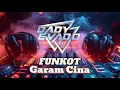 Download Lagu FUNKOT GARAM CINA - VIRAL 2025 - DJ DADY EVADO