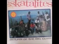 The Skatalites - Passing Through