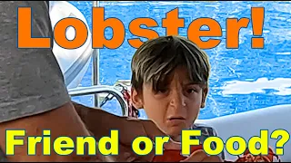 Lobster! Friend or Food? E66