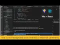 vite is not recognized as an internal or external command operable program or batch file Error
