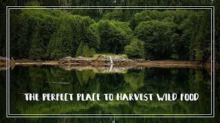 Living off the Land in the Broughton Archipelago | Season 4 Episode 30 | The Wayward Life