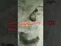 Download Lagu Kucing Jutek #cat #kucinglucu #catloves #pets #funny #vibes #sad #kucing #funnycats #shortsfunny