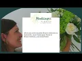 Beautiful Floral Arrangements Same-Day Delivery in Earlysville VA Plantscapes Florist