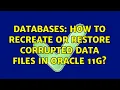 Databases How to recreate or restore Corrupted Data Files in Oracle 11g 3 Solutions
