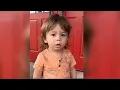 Multiple agencies to search Chatham County landfill today for missing toddler presumed dead WSB-TV