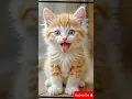 Download Lagu Meow Meow Billi Mausi - Hindi Rhymes for children 🐱 #catvideos  #MeowMeowSong #BilliKartiMeowMeow