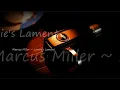 Marcus Miller ~ Lonnie's Lament