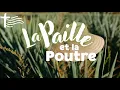 Download Lagu Parole et Évangile du jour | Lundi 23 juin • Fais entrer la lumière en toi !