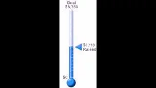Water30 Donation Thermometer