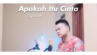 Download Apakah Itu Cinta - Ipank - Cover ~ Cowok MP3