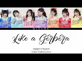 SWEET STEADY - Like a Gerbera | Color Coded Lyrics (KAN/ROM/ENG/INDO)