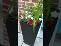 MUST WATCH before buying 28 Inch Planters