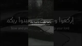 يا أيها الذين آمنوا اركعوا واسجدوا واعبدوا ربكم وافعلوا الخير لعلكم تفلحون سورة الحج 