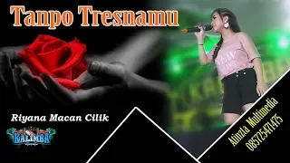 Download TANPO TRESNAMU - RIYANA MACAN CILIK - OM KALIMBA MUSIK - LIVE PLUMUTAN BANYUDONO BOYOLALI MP3