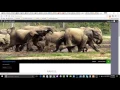 380 Hello World wordpress