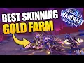 Best Skinning Gold Farm in WoW Midnight